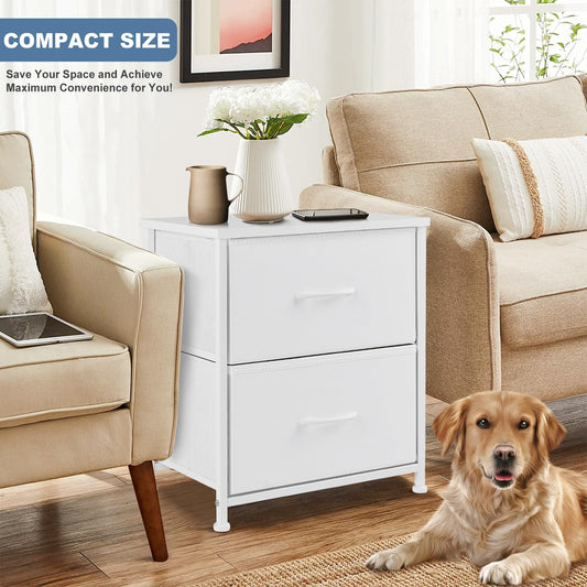 DUMOS Night Stand Small Dresser for Bedroom with 2 Drawers, Bedside Table